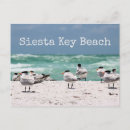 Search for siesta key postcards Tropical
