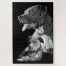 Search for pitbull puzzles Puppy