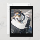 Search for dog on motorcycle postcards Puppy