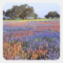 Search for paintbrush stickers Scenic