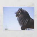 Search for manelis postcards Animal