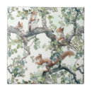 Search for squirrell tiles For her