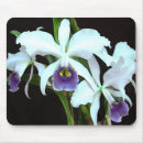Search for orchids mousepads Flora