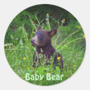Search for bear eating stickers Bears