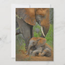 Search for african nations cards Safari