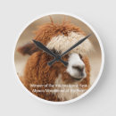 Search for alpaca art Funny