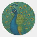 Search for vintage peacock stickers Blue