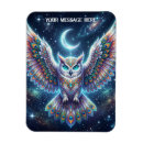 Search for owl feathers magnets Beautiful