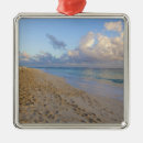 Search for punta cana christmas tree decorations Nature
