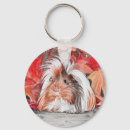 Search for guinea pig key rings Animal