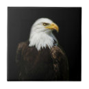 Search for wildlife tiles Usa