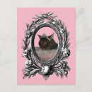 Search for framed postcards Cat