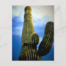 Search for arizona postcards Cacti