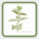 Search for oregano stickers Botanical