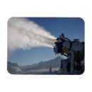 Search for shoot magnets Winter