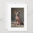 Search for egyptian invitations Cat
