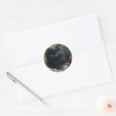 Search for black cat painting stickers Cute