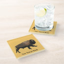 Search for bisons coasters Nature