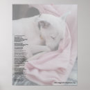 Search for rainbow bridge posters Poetry