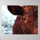 Search for farm animals birthday posters Head