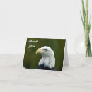 Search for balding cards Head
