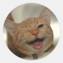 Search for wink stickers Happy