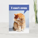 Search for funny cat cards Pets