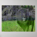 Search for fantasy lion art Animal