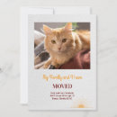 Search for cat moving announcement cards New home