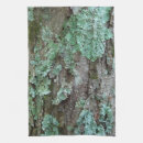 Search for lichens Nature
