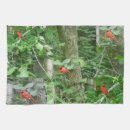 Search for cardinal bird tea towels Nature