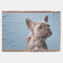Search for cute french bulldog blankets Domestic animals