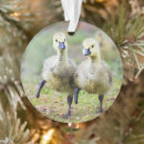 Search for canadian goose christmas tree decorations Animal