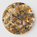Search for honey bee clocks Beekeeping