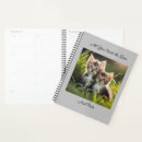 Search for cuddly office supplies Feline