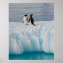 Search for antarctic art Ice