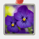 Search for pansy christmas tree decorations Floral