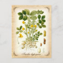 Search for peanuts postcards Illustration