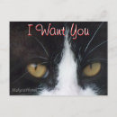 Search for thinking cat postcards Friends