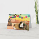 Search for guinea pig cards Cute
