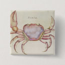 Search for crustacean badges Shell