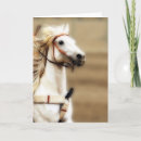 Search for show cards Rodeo