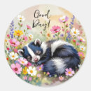 Search for skunk Flowers