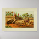 Search for swine art Vintage