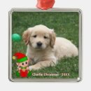 Search for golden retriever christmas tree decorations Animal