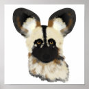 Search for wild dog posters Dogs
