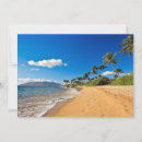 Search for maui cards Coconut palm tree