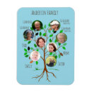 Search for roots magnets Family tree