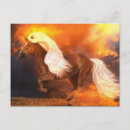 Search for haflinger postcards Palomino