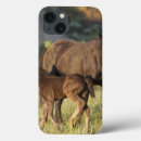 Search for environment ipad cases Grass